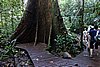 DSC02383.JPG