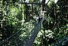 DSC02386.JPG
