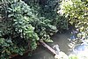 DSC02387.JPG