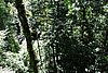 DSC02389.JPG