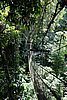 DSC02390.JPG