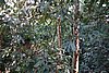 DSC02391.JPG