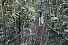 DSC02392.JPG