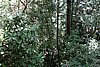 DSC02394.JPG