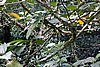DSC02400.JPG
