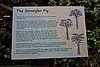 DSC02403.JPG