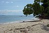 DSC02413.JPG