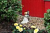 DSC01669.JPG