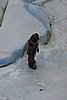 DSC01675.JPG