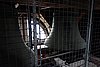 DSC01788.JPG
