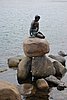 DSC01808.JPG