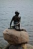 DSC01811.JPG