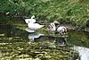 DSC01823.JPG