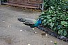 DSC01854.JPG