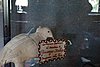 DSC00122.JPG