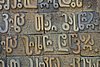DSC00155.JPG