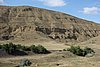 DSC00172.JPG
