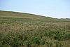 DSC00201.JPG
