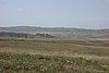DSC00204.JPG