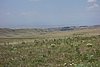 DSC00205.JPG