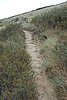 DSC00249.JPG