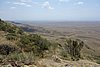 DSC00250.JPG