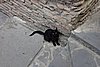 DSC00325.JPG