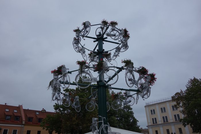DSC00895.JPG