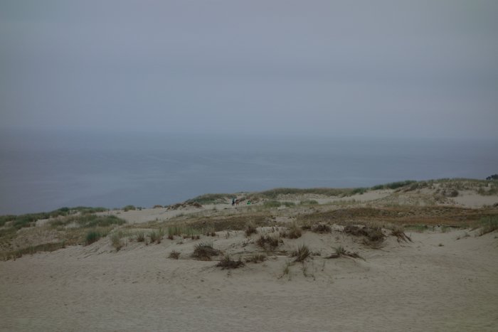 DSC01133.JPG