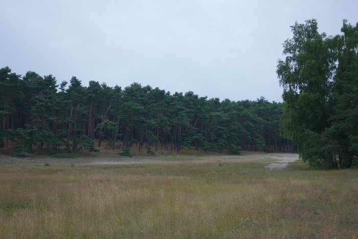 DSC01144.JPG