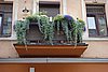 DSC00918.JPG