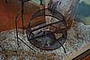 DSC00986.JPG