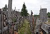 DSC00996.JPG