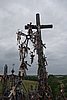 DSC01015.JPG