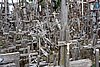 DSC01020.JPG