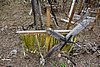 DSC01027.JPG