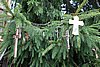 DSC01029.JPG