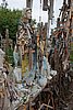 DSC01041.JPG