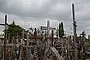 DSC01050.JPG