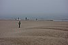 DSC01059.JPG