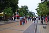 DSC01060.JPG