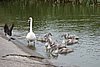 DSC01106.JPG