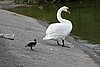 DSC01107.JPG