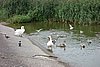 DSC01108.JPG