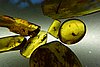 DSC01111.JPG