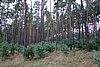 DSC01119.JPG