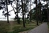 DSC01120.JPG