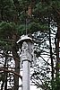 DSC01121.JPG