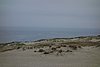 DSC01133.JPG