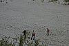 DSC01137.JPG